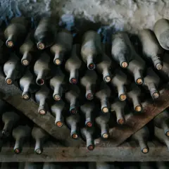 Des bouteilles de vin poussiéreuses, empilées sur des étagères en bois. La cave à vin semble avoir un problème de température, les bouchons sont secs.