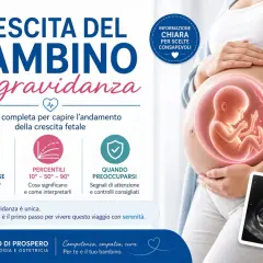 Immagine di una donna incinta con un feto stilizzato nel grembo. La grafica illustra la crescita del bambino in gravidanza, dal concepimento quando avviene, ai percentili e ai segnali di attenzione.