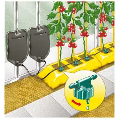 Tomater vattnas med ett smart bevattningssystem. Två stora dropp-påsar hänger redo att ge näring till plantorna.