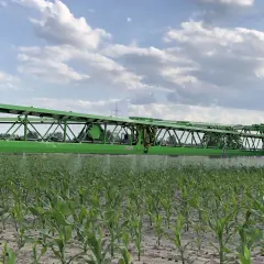 Grüne Sprühbalken einer Maschine über einem jungen Maisfeld. Der richtige mais spritzen zeitpunkt ist entscheidend für das Wachstum.