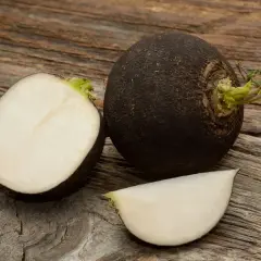 Czarna rzepa jak jeść? Oto cała i przekrojona czarna rzepa na drewnianym tle.