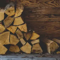 Gestapeltes Buchenbrennholz vor einer Holzwand. Die Frage, wie lange muss Buchenbrennholz trocknen, beschäftigt jeden, der gemütliche Wärme sucht.