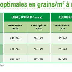 Tableau des densités optimales pour le semis d'orge d'hiver et d'escourgeon, selon les conditions d'implantation et la date de semis.