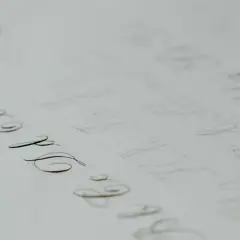 A page of practice calligraphy, with elegant loops and swirls in cursive, showing the careful strokes of a pen.