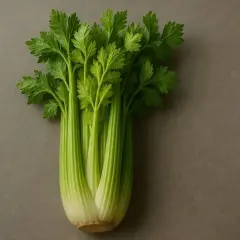 Pęczek świeżego selera na szarym tle. Czy pies może jeść seler? Tak, ale w umiarkowanych ilościach.