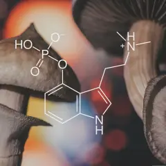 Grzyby halucynogenne z nałożonym wzorem chemicznym psylocybiny.