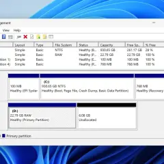 Datenträgerverwaltung zeigt alle Laufwerke an: C: (NTFS), D: (RAW), sowie System- und Wiederherstellungspartitionen.