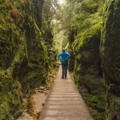 Szwajcaria Saksońska: przewodnik po szlakach, Bastei i atrakcjach
