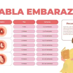Tabla de embarazo que muestra cuántas semanas tiene un embarazo, desde 1 mes (1-4 semanas) hasta 9 meses (36-40 semanas).