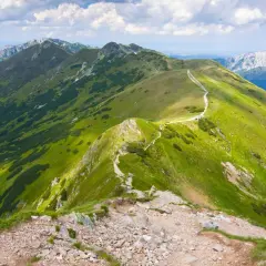Malowniczy szlak na Ornaka z Doliny Kościeliskiej, wijący się po zielonych zboczach Tatr Zachodnich.
