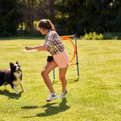 Ein Border Collie trainiert für Degility. Die junge Frau wirft eine Frisbee, während der Hund aufmerksam wartet.