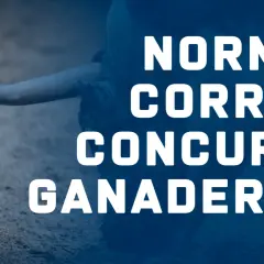 Normas para el concurso de corridas de toros. Un toro con un cuerno visible se alza sobre el texto.