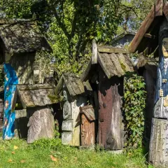 Bory Tucholskie: TOP atrakcje co musisz zobaczyć i przeżyć?