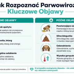 Wczesne i późne objawy parwowirozy u psów: brak apetytu, apatia, wymioty, biegunka, odwodnienie, gorączka.