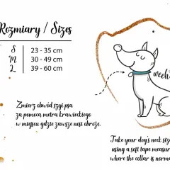 Ilustracja psa z obrożą i tabelą rozmiarów obroży.