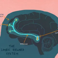 Jak powstaje uzależnienie? Mechanizmy nałogu w mózgu i psychice