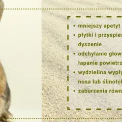 Czy króliki śmierdzą? Nie! 7 sposobów na świeżość w króliczym domu