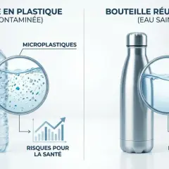 Bouteille en plastique vs. réutilisable. La première libère des microplastiques, augmentant les risques pour la santé. La seconde offre une eau pure pour une hydratation optimale, une alternative à la loi plastique.