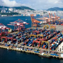 Ogromny port kontenerowy z dźwigami i statkami. W tle widać miasto i most. To skrót do globalnego handlu.