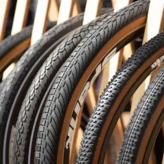 A row of diverse bicycle tires, featuring knobby mountain bike tires and smoother road bike tires, all with distinctive tan sidewalls, are displayed.