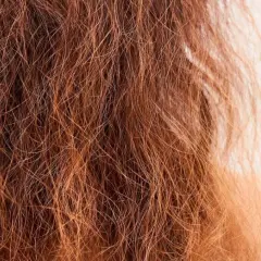 Primer plano de pelo deshidratado, de color rojizo, con aspecto seco y quebradizo.