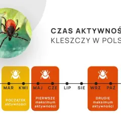 Od kiedy kleszcze? Nowy kalendarz zagrożeń i skuteczna ochrona