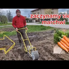 Jak zrobić redliny na działce - uniknij błędów i stwórz idealne rzędy