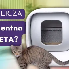 Jak działa kuweta samoczyszcząca? Odkryj jej sekrety i zalety