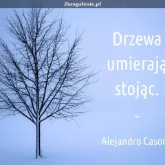 Drzewa umierają stojąc. Cytat z wierszy o drzewach znanych poetów, Alejandro Casona.