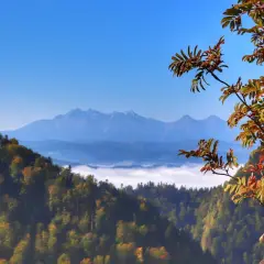Jesienny widok z sokolica szlak na Tatry. Mgły unoszą się w dolinach, a drzewa mienią się kolorami.