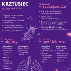 Informacje o krztuścu: objawy, powikłania i zalecenia dotyczące szczepień. Szczepionka na krztusiec chroni przed tą groźną chorobą.
