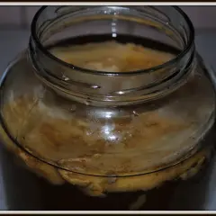 Szklany słój z kombuchą, widoczny SCOBY i płyn.