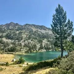 Senderos y lagos de Neouvielle bajo un cielo azul. Un pino solitario vigila el paisaje montañoso y el agua turquesa.
