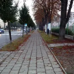 Chodnik czy chodnik - jak poprawnie pisać i rozumieć ten termin?