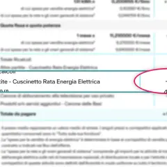 Dettaglio bolletta luce: "Altre partite - Cuscinetto Rata Energia Elettrica" con un costo di -12 €.