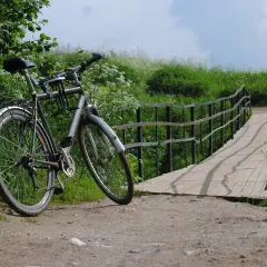 Najlepsze trasy rowerowe w Polsce, które zachwycą każdego cyklistę