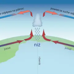 Ilustracja pokazuje, jak powstaje wiatr: ciepłe powietrze unosi się w niżu, ochładza, a następnie opada w wyżu, tworząc cyrkulację.