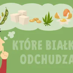Mężczyzna zastanawia się, jak zwiększyć ilość białka w diecie, myśląc o mleku, soi, tofu, jajkach i konopiach.