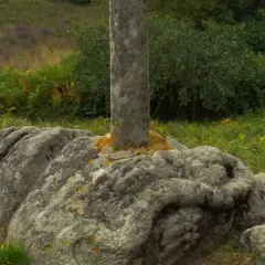 Pedra da serpe, un cruceiro de pedra incrustado nunha rocha con forma de serpe, rodeado de vexetación verde e púrpura.