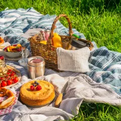 Picknickdecke mit Brezeln, Obst, Kuchen und Säften. Ein perfekter Tag für ein Picknick im Grünen.