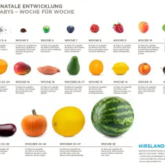 24 ssw welcher monat? Ihr Baby ist so groß wie eine Papaya und kann Ihre Stimme hören.