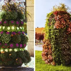 Kwietnik kaskadowy DIY: Prosty poradnik jak zrobić krok po kroku