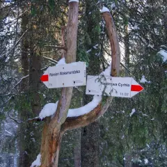 Znak szlaku w zimowym lesie. Wskazuje drogę do Równi Waksmundzkiej i Toporowej Cyrhli. Śnieg na gałęziach przypomina suchą wodę.