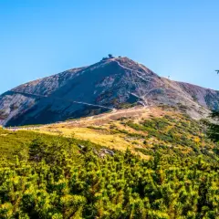 Widok na górę ze szlakiem turystycznym, żółtym budynkiem i sosnami. Krajobraz przypomina Beskid Tatry.