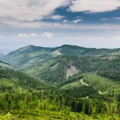 Wzgórza Beskidów, zielone lasy i kręte drogi tworzą jedne z najpiękniejszych szlaków w Beskidach.