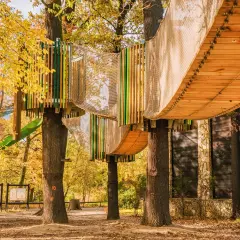 Drewniane kładki i siatki tworzą ścieżki w koronach drzew. Jesienny park linowy we Wrocławiu zaprasza do zabawy.