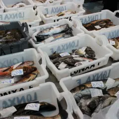 Variedad de pescados frescos en cajas, listos para la venta en un mercado de artes de pesca en Galicia.