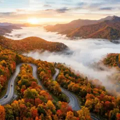 Winding mountain road through vibrant autumn foliage, with a sea of fog below. The scene has a beautiful bokeh no blur effect, capturing the crisp details of the fall colors.