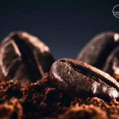 Chicchi di caffè tostati su polvere, un'immagine che evoca il miglior caffè al mondo.