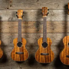 Quatre ukulélés de tailles différentes, chacun représentant un type de ukulele, sont accrochés sur un mur en bois rustique.